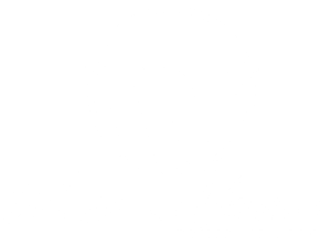 wahlstand Virified White